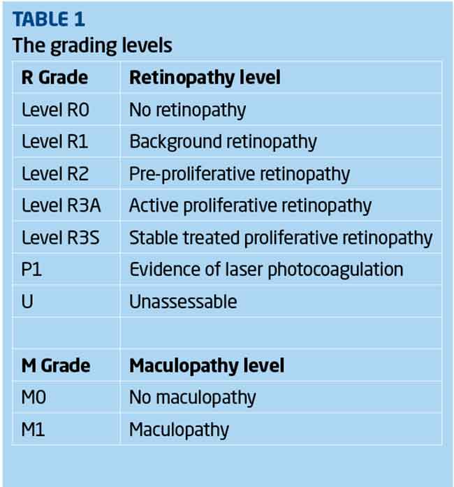 diabetic retinopathy classification