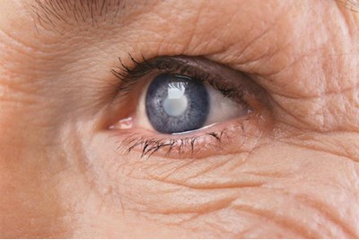 Close up of elderly person's eye