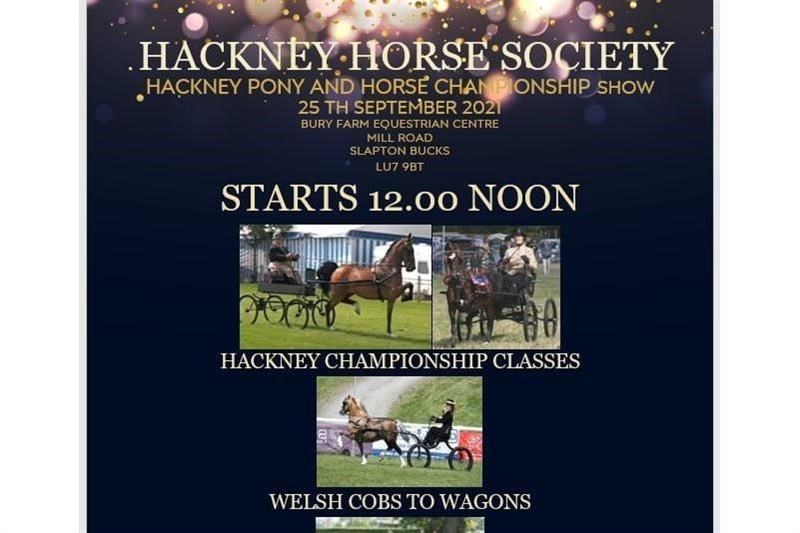 The Hackney Horse Society