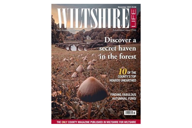 The November 2021 issue of Wiltshire Life is out n