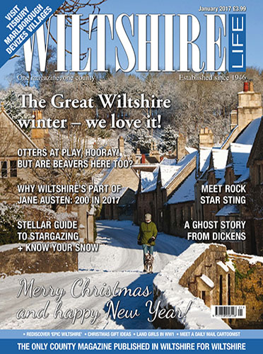 January 2017 - The Great Wiltshire winter - we love it!