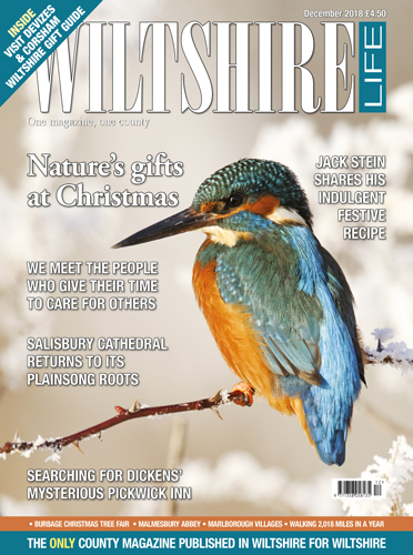 December 2018 - Nature's gifts at Christmas