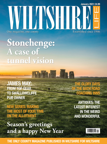 January 2021 - Stonehenge: A case of tunnel vision