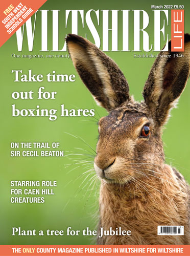 Take time out for boxing hares