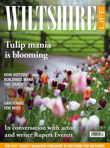 April 2022 - Tulip mania is blooming