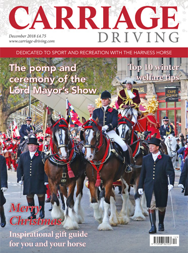 December 2018 - The pomp and ceremony of The Lord Mayor's Show