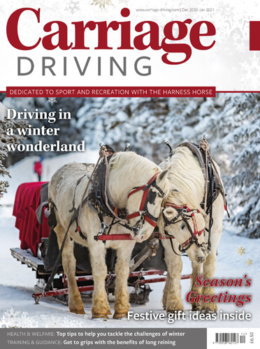 December 2020-January 2021 - Driving in a winter wonderland